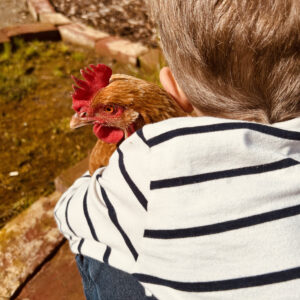 Bauernhof-Vormittag für die Minis, Samstag, 21.06.2025 (ca. 1,5 - 4 Jahren)